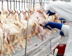 工(gōng)人(rén)工(gōng)作(zuò)流程