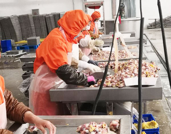 內(nèi)髒分(fēn)揀