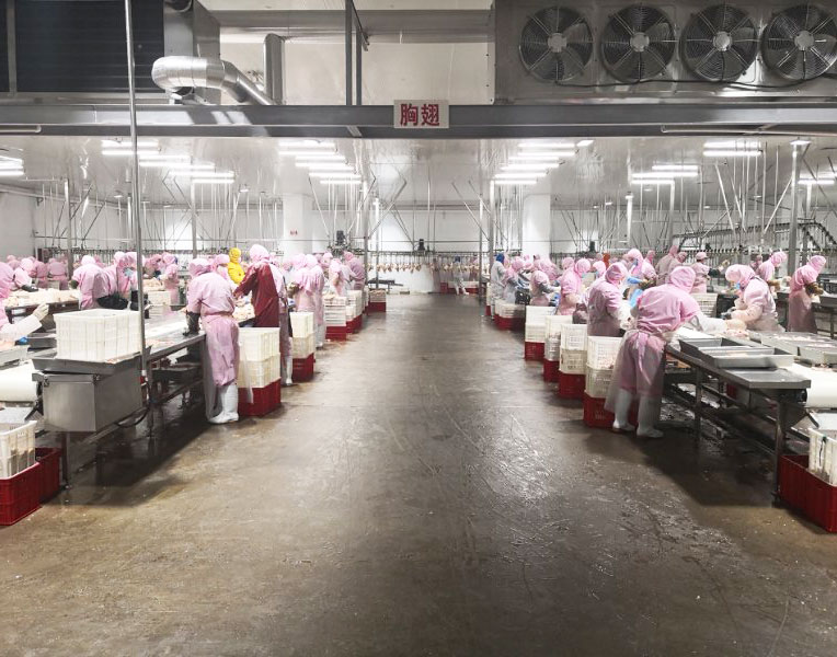 胸翅車(chē)間(jiān)